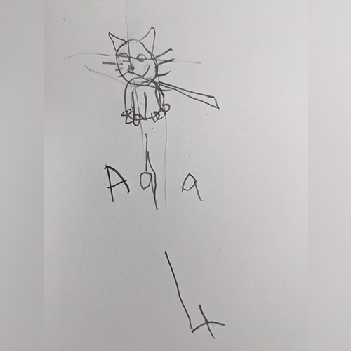 cat drawing
