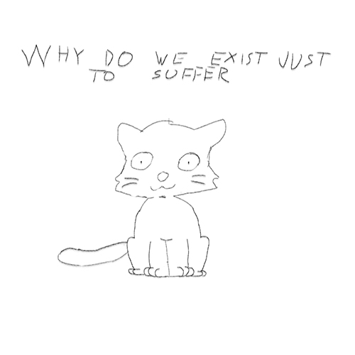 cat drawing